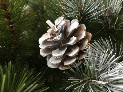 Елка с шишками