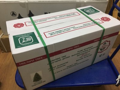 Упаковка TriumphTree