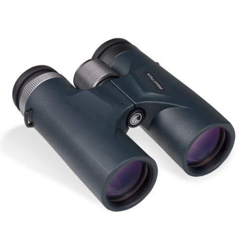 Бинокль Praktica Avro 10x42 WP