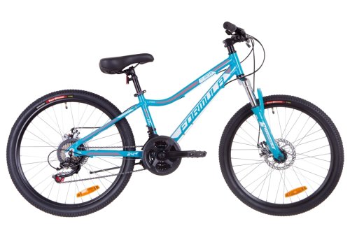 Велосипед Formula ACID 1.0 DD 24" 2019 / рама 12,5" аквамарин (OPS-FR-24-129)