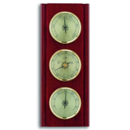 Метеостанция TFA 20100204