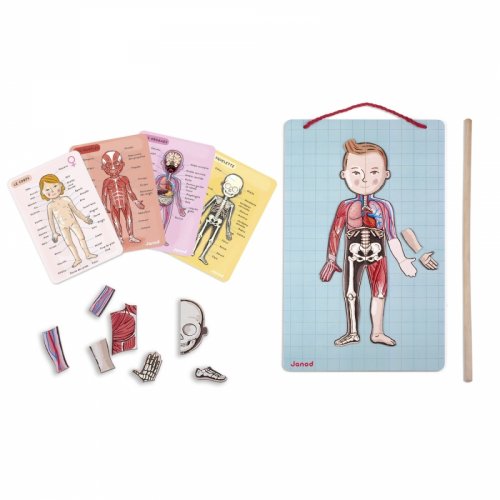Игровой магнитный набор Janod Тело человека J05491