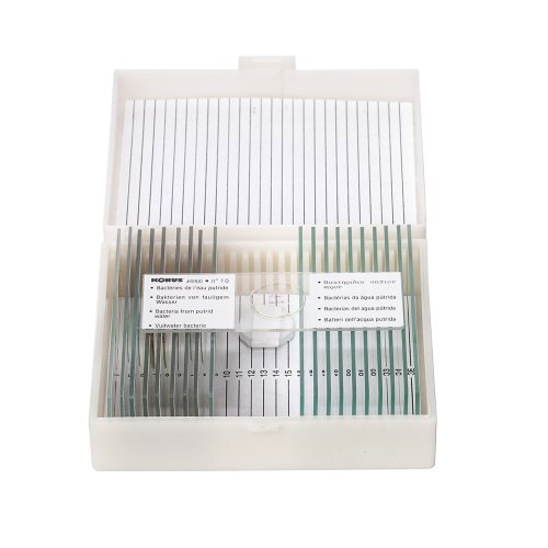 Набор микропрепаратов KONUS Биология: Удивительная структура клеток овощей (10 шт.)