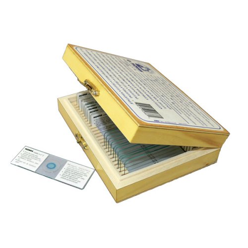 Набор микропрепаратов KONUS Ботаника: Грибы, лишайники и мох (15 шт.)