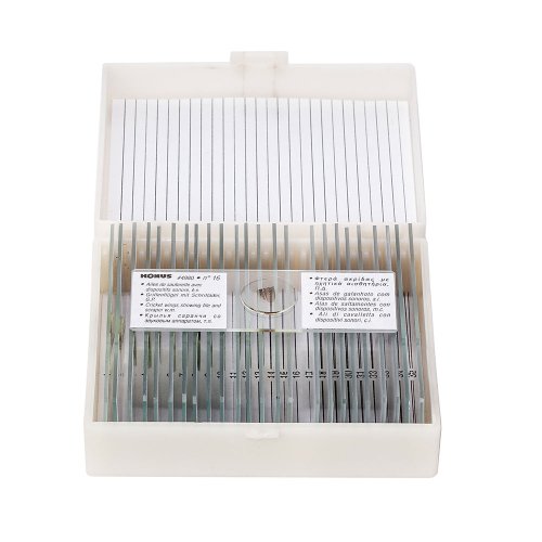 Набор микропрепаратов KONUS Общая биология: Зоология, позвоночные, включая млекопитающих (25 шт.)