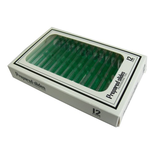 Набор микропрепаратов SIGETA ENTRANCE Ткани растительных организмов (12 шт.)