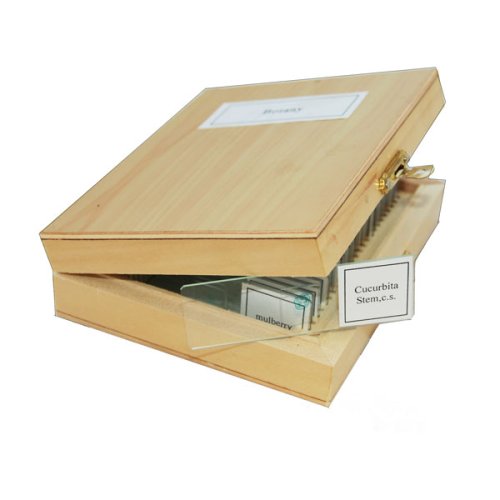 Набор микропрепаратов SIGETA Зоология (25 шт.)