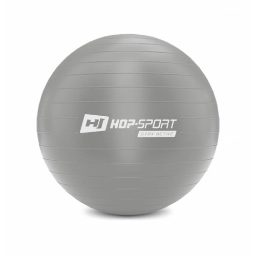 Фитбол Hop-Sport HS-R055YB 55cm серебристый + насос 2020