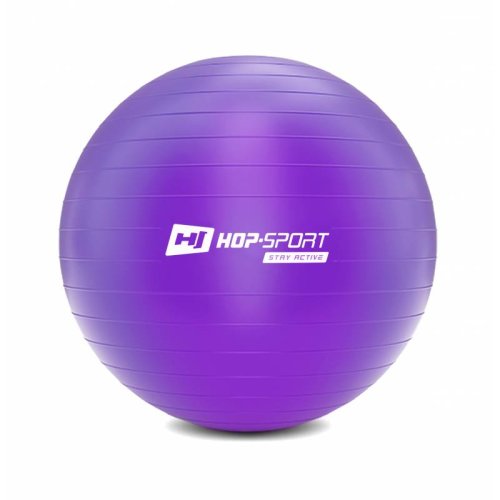Фитбол Hop-Sport HS-R065YB 65cm фиолетовый + насос 2020