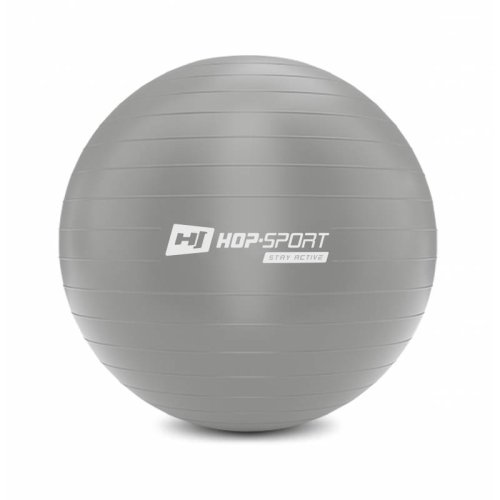 Фитбол Hop-Sport HS-R075YB 75cm серебристый + насос 2020