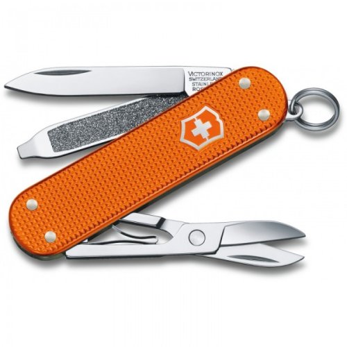 Швейцарский нож Victorinox Classic SD 0.6221.L21