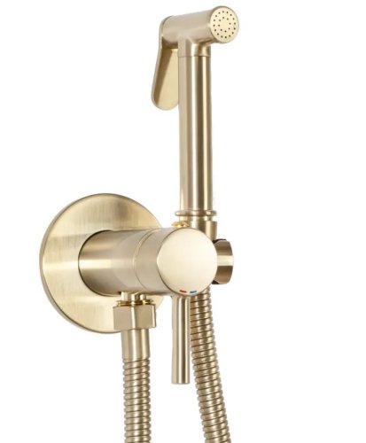 Смеситель + гигиенический душ REA LOOP GOLD MAT золотой матовый REA-B6311