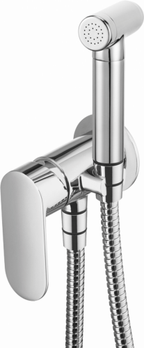 Смеситель + гигиенический душ Deante Alpinia BGA_034M