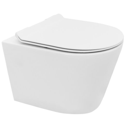 унитаз Rea Tomas подвесной, без ободка, сиденье дюропласт медленнопадающее (REA-C1257)