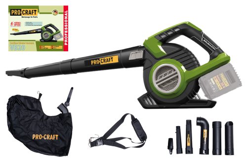 Аккумуляторный пылесос-воздуходувка Procraft VB20 (без акб и зп)