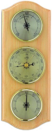 Метеостанция TFA 20100011B