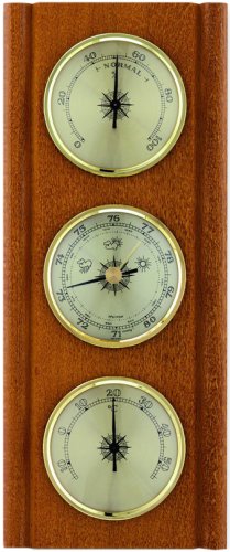 Метеостанція TFA 20100201