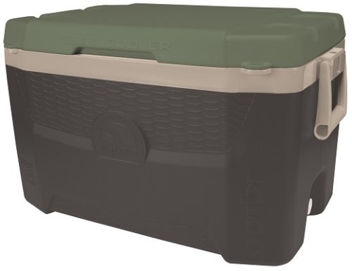 Изотермический контейнер Igloo Sportsman Quantum 55
