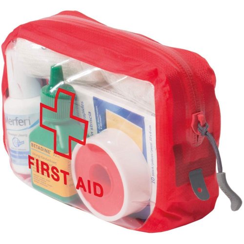 Органайзер Exped Clear Cube First Aid S Red