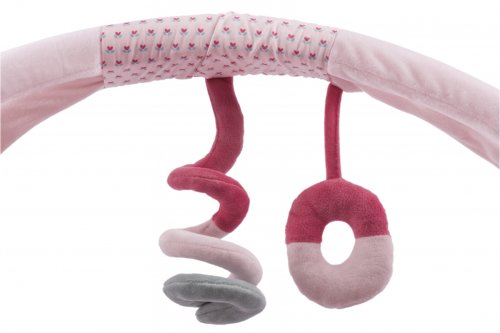 Развивающий коврик Nattou Шарлота и Рози (655224)