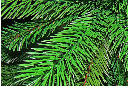 Искусственная ель TriumphTree Edelman Nottingham de Luxe 2.15м Зеленая