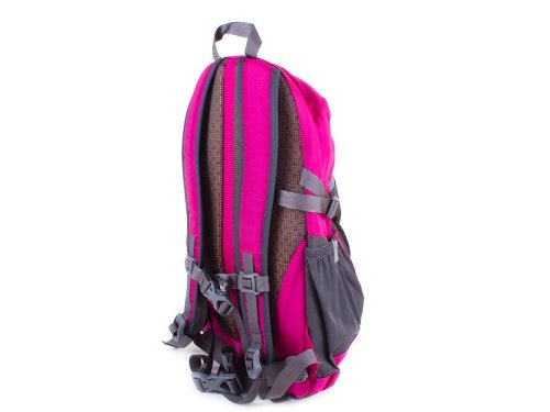 Детский рюкзак ONEPOLAR W1581-pink