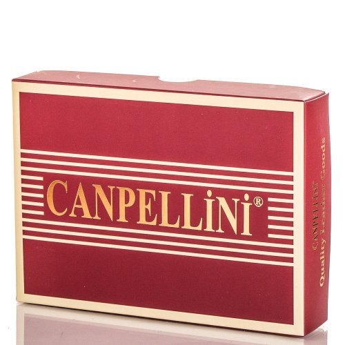 Кошелек женский кожаный CANPELLINI SHI967-7DM