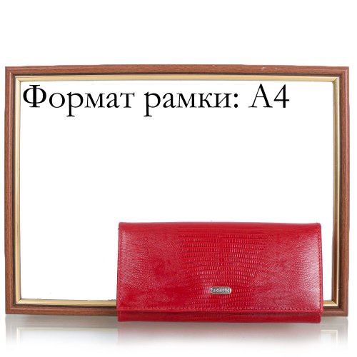 Кошелек женский кожаный CANPELLINI SHI2037-15