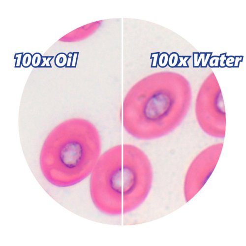 Мікроскоп Optika B-155R 40x-1000x Mono rechargeable