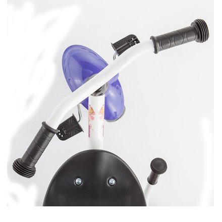 Триколісний велосипед Kettler Funtrike Pablo 2017 Білий (T03025-0030)