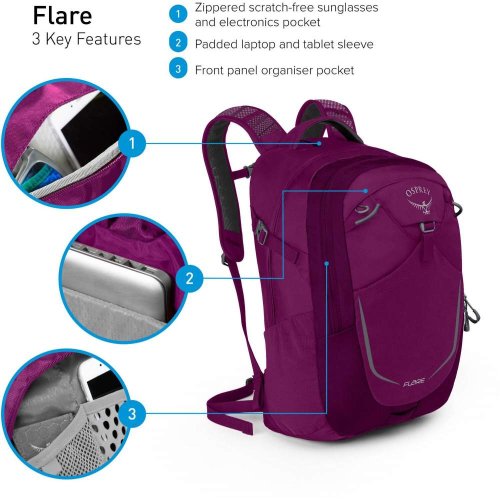 Рюкзак Osprey Flare 22 Eggplant Purple