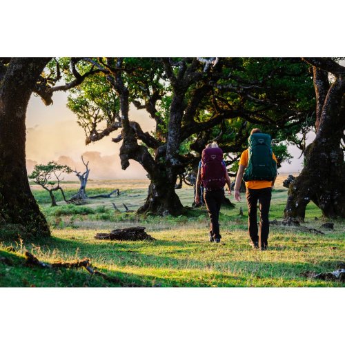 Рюкзак Osprey Renn 65 Aurora Purple