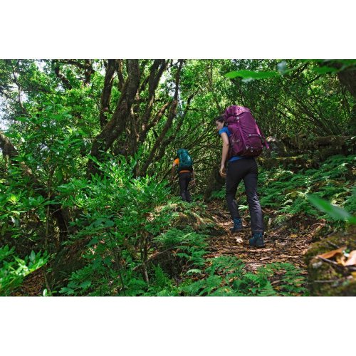 Рюкзак Osprey Renn 65 Aurora Purple