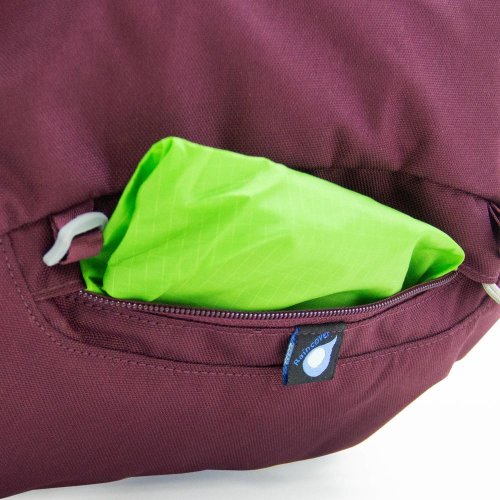 Рюкзак Osprey Renn 65 Cinder Grey