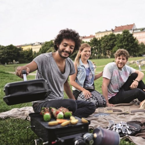 Гриль газовый Weber Go-Аnywhere Gas 1141075