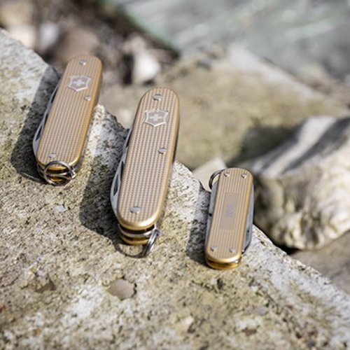 Швейцарский нож Victorinox Classic SD (0.6221.L19)