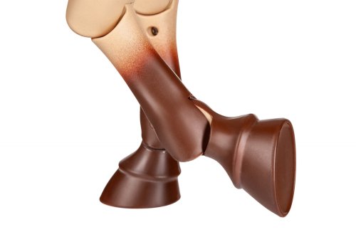 Игровая фигура Our Generation Конь Чемпион с аксессуарами 50см BD38146A1Z