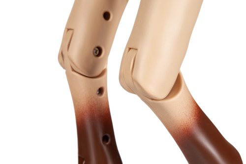 Игровая фигура Our Generation Конь Чемпион с аксессуарами 50см BD38146A1Z