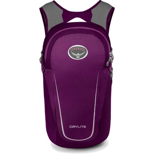 Рюкзак Osprey Daylite 13 Amulet Purple