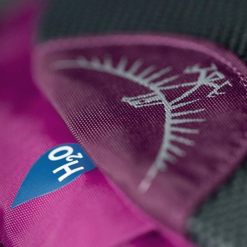 Рюкзак Osprey Daylite 13 Amulet Purple