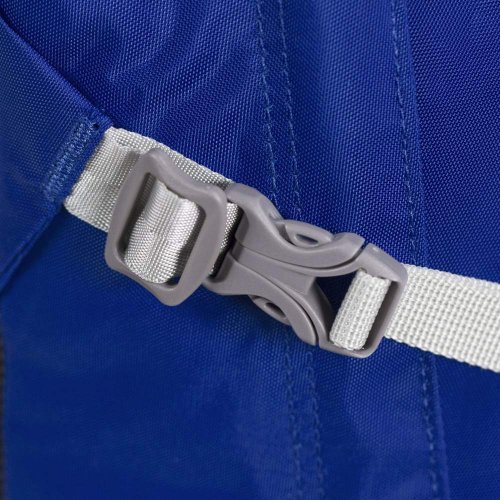 Рюкзак Osprey Daylite Plus 20 Amulet Purple