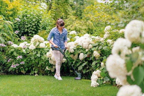 Аккумуляторный триммер Bosch EasyGrassCut 18-230 (06008C1A00)