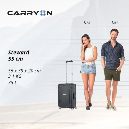 Валіза CarryOn Steward (S) Black