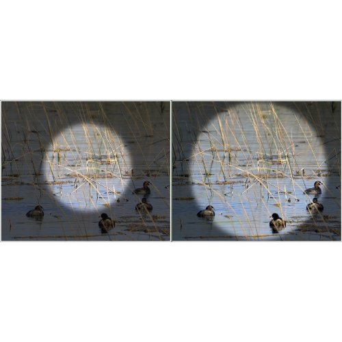 Бинокль Kowa BD II 10x32 XD