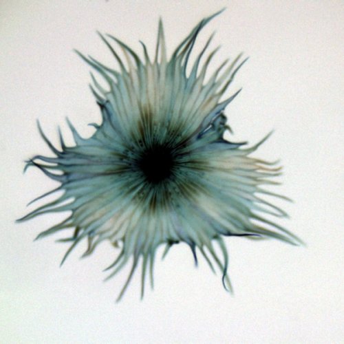 Аксессуары Bresser Набор препаратов №5 100 шт