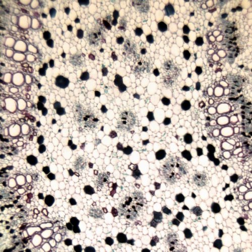 Аксессуары Bresser Набор препаратов №5 100 шт