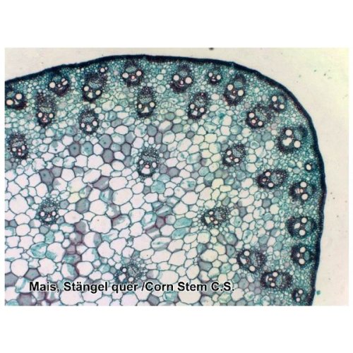 Аксессуары Bresser Набор препаратов №6 50 шт