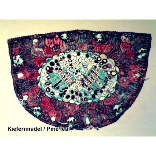 Аксессуары Bresser Набор препаратов №7 25 шт