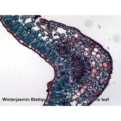 Аксессуары Bresser Набор препаратов №7 25 шт