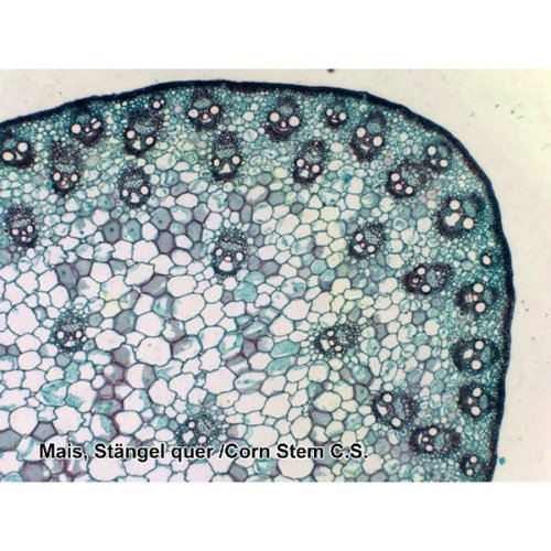 Аксессуары Bresser Набор препаратов №7 25 шт